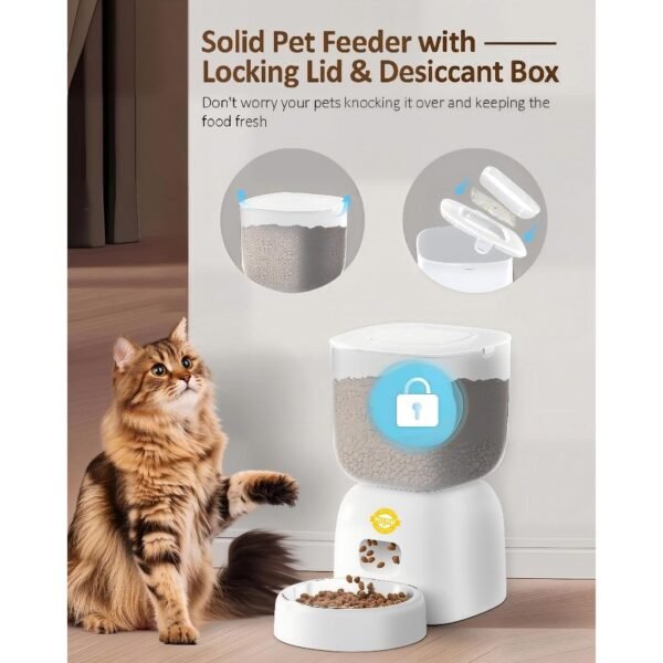 Petz Play Feeder & Water Fountain Combo in Black or White