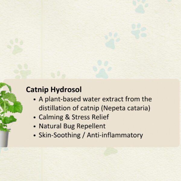 PETZ DEO Catnip Spray 100ml ( Cats only) NATURAL & ISO Standard