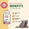 PETZ HEALTH Lecithin Capsules 100 Tablets (CAT ONLY) 100% NATURAL & Full Cert
